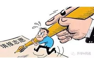 填志愿，填的真是自愿吗？——中高考志愿填报咨询背后的思考